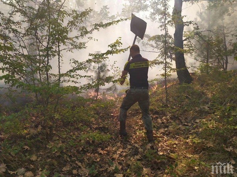 РАЗКРИХА ГО: 11-годишен хлапак запалил гората над Девин