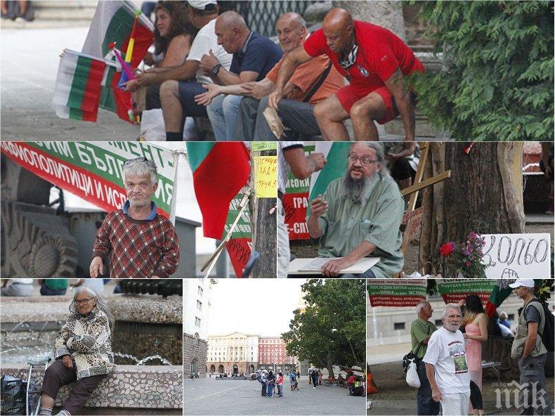 Протестът умря - Кольо Босия, Йоло Денев и Георги Софкин останаха сами (СНИМКИ)