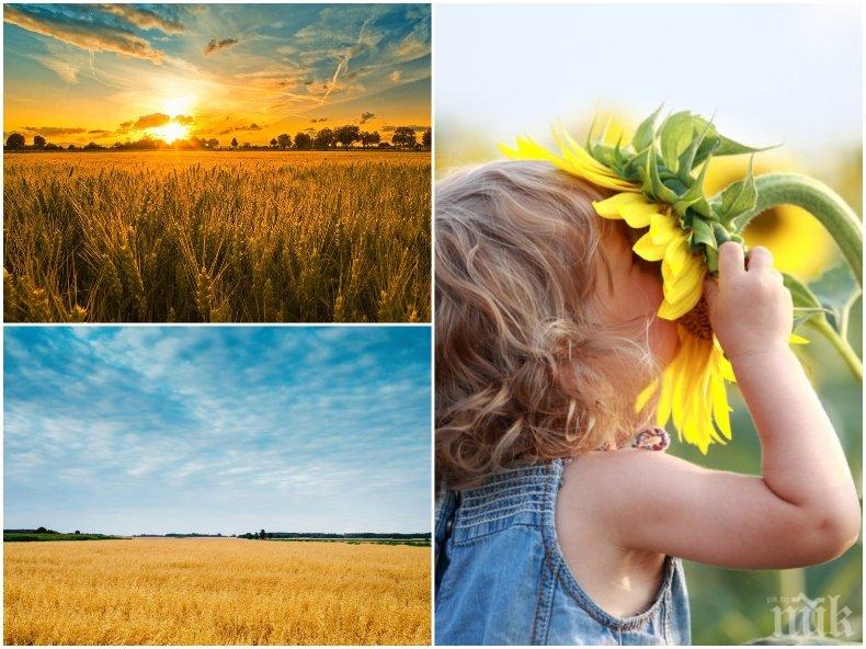 ПРЕКРАСНА СЪБОТА: Слънцето продължава да ни радва, градусите стигат до 32 