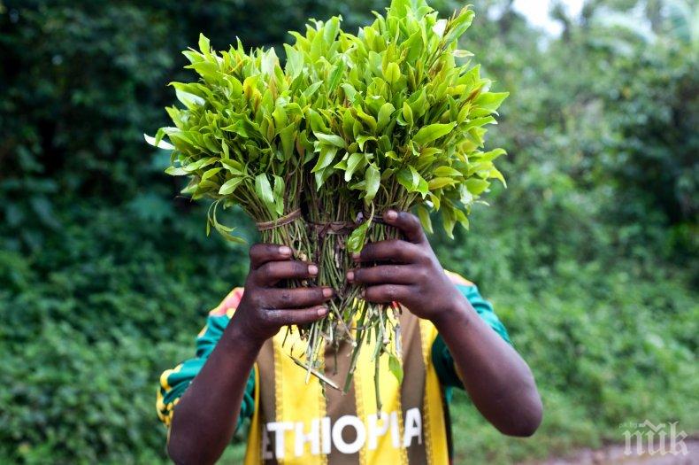 Спипаха 4 израелски момичета с наркотик кхат за 3 млн. лева на летище Варна