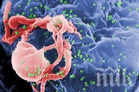 Откриха лекарство, убиец на ХИВ вируса