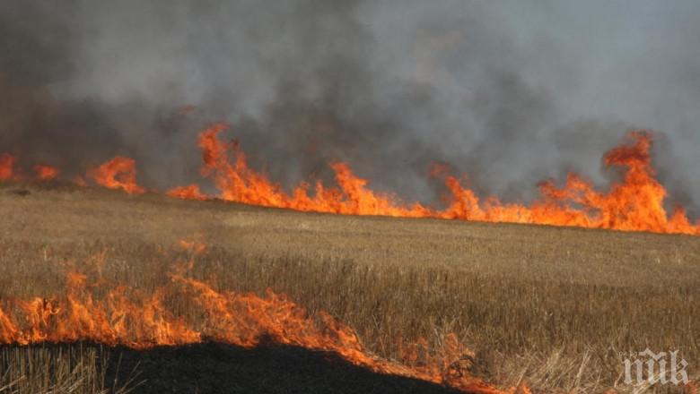 Огромна опасност от пожари грози 12 области в страната (КАРТА)