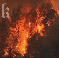 Монтират видеокамери и наблюдателни кули в горите срещу пожари