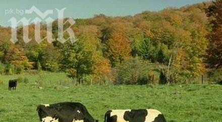 животновъдите плашат протести кабинетът изпълни техни искания