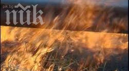 горски пожари португалия испания