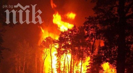 пожарът свиленград обхванал 000 дка гори