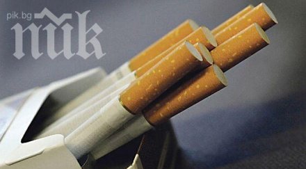 удариха няколко цеха нелегални цигари пловдив