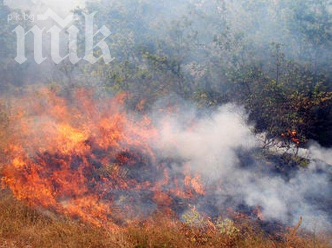 Вертолет пратиха военните за пожара край Свиленград