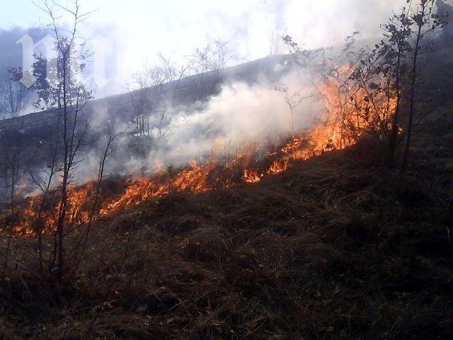 Овладяха пожара край Елхово, унищожил 5000 декара посеви и гори