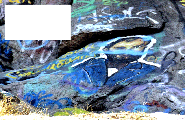 Вандали оскверниха Елин Пелин, Димчо Дебелянов и Николай Гяуров (снимки)