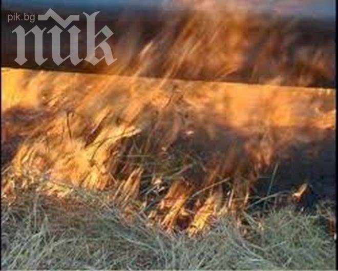 Пожар гори край село в Ямболско
