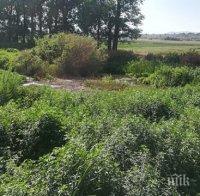 След 27 г. чакане - изринаха тонове боклуци от реката в село Малево