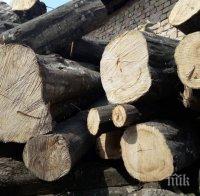 Засилени проверки за незаконен дърводобив в цялата страна