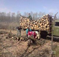 Камион с контрабандна дървесина блъсна патрилка в Стражица