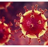 РЕВОЛЮЦИОННО: Откриха „убиец“ на COVID-19