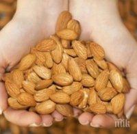 Няма да повярвате коя е най-полезната храна в света