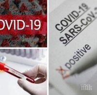 МРАЧНА ПРОГНОЗА: СЗО очаква повишение на смъртността от коронавирус през есента