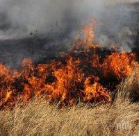 Пламна пожар в село край Пловдив