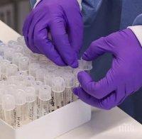 СЗО с препоръка: Децата в училище да се тестват за COVID