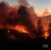 ОГНЕН АД! Пожар изпепели 10 вили и десетки декари гора край Карлово