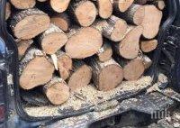 Агенцията по горите лови бракониери на дърва за огрев