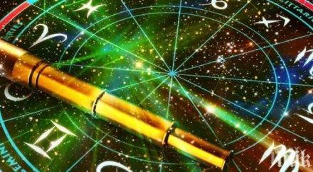 звездите говорят напрягайте лекувайте ставите очите посадете цветя