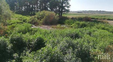 чакане изринаха тонове боклуци реката село малево