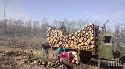 бунт села странджа скочиха камиони дървесина поголовната сеч