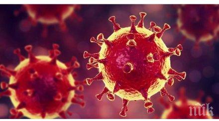 революционно откриха убиец covid