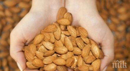 повярвате полезната храна света