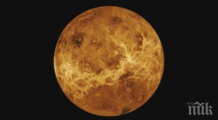 живот венера