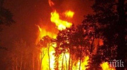 десет жертви горските пожари орегон