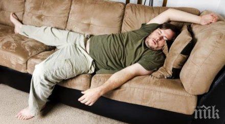 психолози установиха безделниците умни