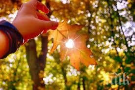 светлината единственият сигурен цяр есенна депресия