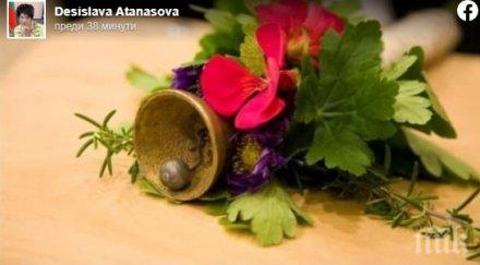 десислава атанасова поздрави учениците септември