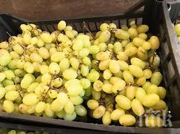 десертното грозде българия удари цена лева