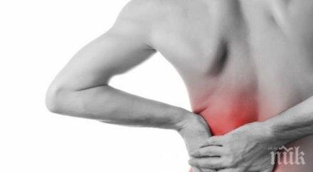 ограничете калориите храната бъбреците заработят добре