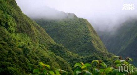 европейската агенция околна среда прие докладването българия местообитанията