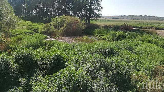 След 27 г. чакане - изринаха тонове боклуци от реката в село Малево