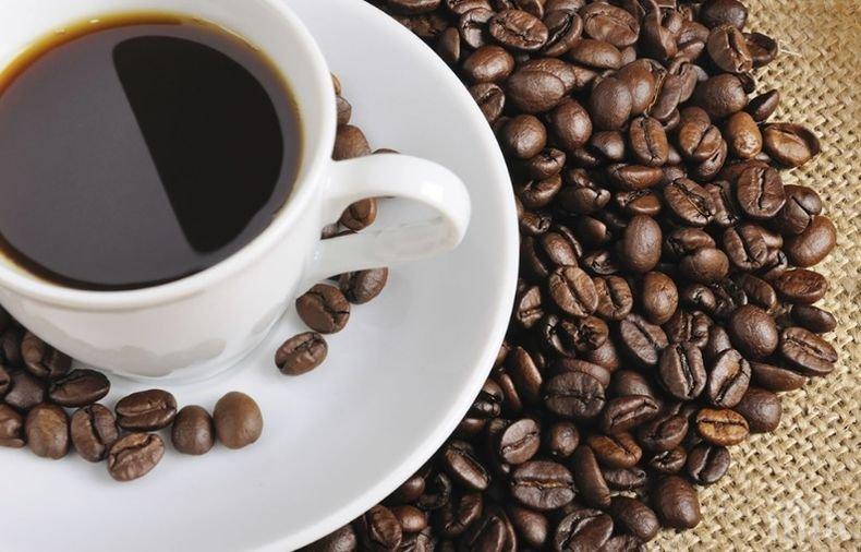 Кофеинът прави гъбичките резистентни на лекарства

 