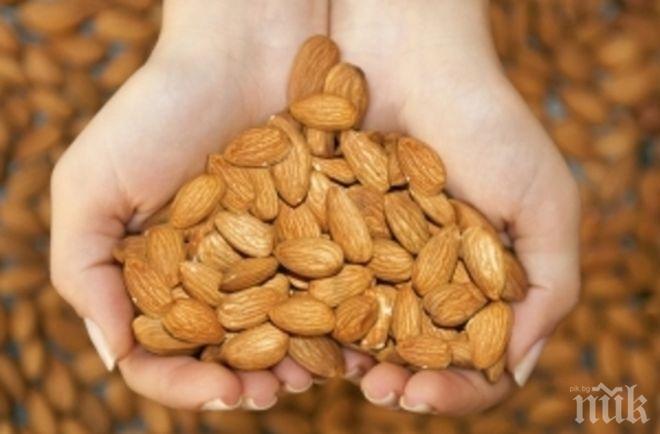 Няма да повярвате коя е най-полезната храна в света