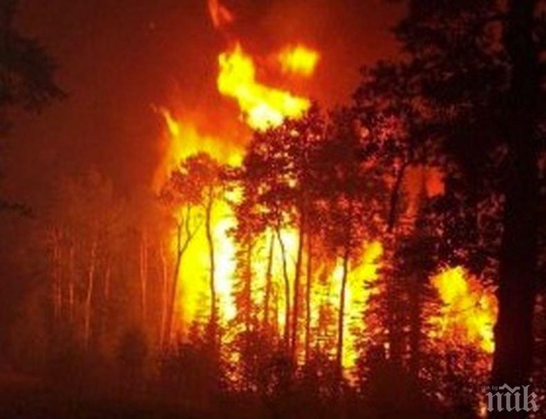 Десет жертви на горските пожари в Орегон