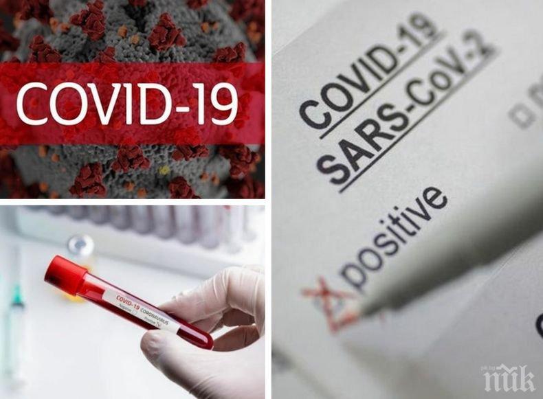 МРАЧНА ПРОГНОЗА: СЗО очаква повишение на смъртността от коронавирус през есента