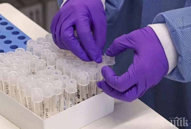 СЗО с препоръка: Децата в училище да се тестват за COVID