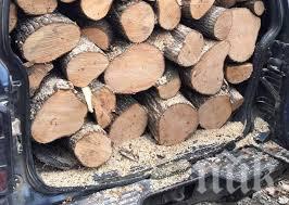Агенцията по горите лови бракониери на дърва за огрев
