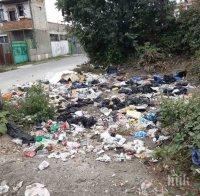 Незаконно сметище заплашва със зараза Бургас 