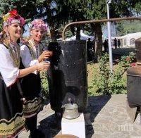 Фестивалът на сливата започна в Троян