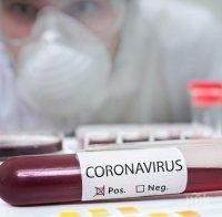 Заразените с коронавируса в Чехия надхвърлиха 50 000