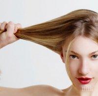 Вредно ли е да спим с мокра коса?