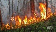 Огромен пожар избухна край Петрич